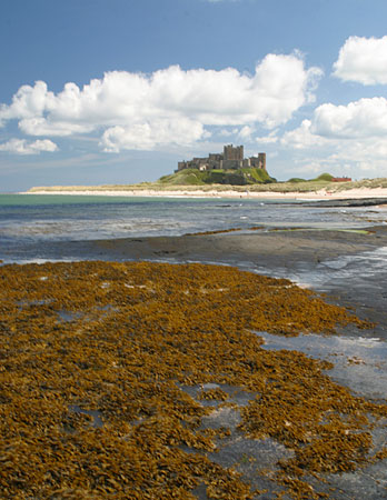 Bamburgh Castle