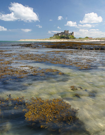 Bamburgh Castle